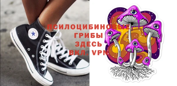 сатива Абдулино
