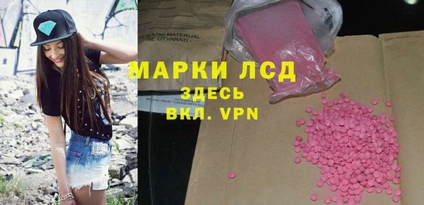 стафф Алексин